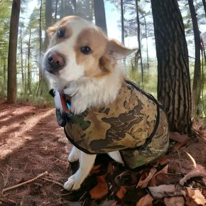 HP😃 Advantage Hunting Dog Fleece Lined Canvas Jacket Adjustable Camouflage Sz L